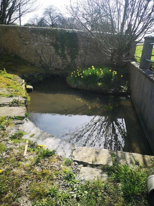 Gite Spacieux Et Chaleureux Sainte-Mere-Eglise Bagian luar foto